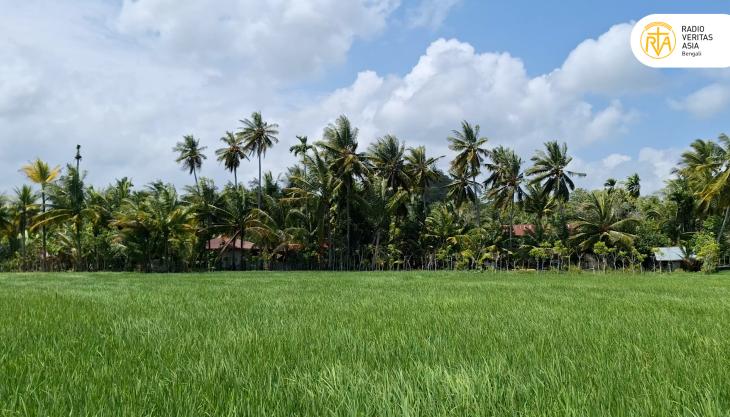  পরিবেশ বিষয়ক অনুষ্ঠান
